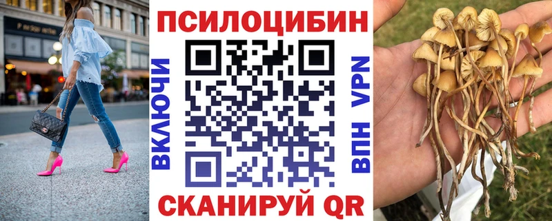 Галлюциногенные грибы Cubensis  Купить закладки  Бабушкин 